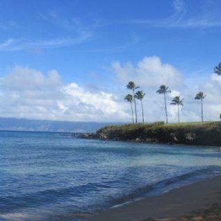 mauinicholerowleskapaluabeach